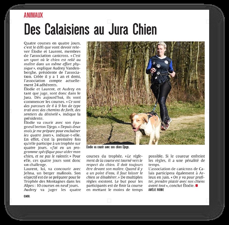 jura chien